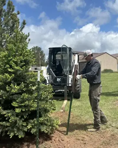 Professional Landscaping