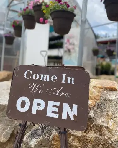 Professional Landscaping